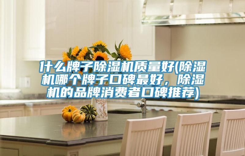 什么牌子除濕機質(zhì)量好(除濕機哪個牌子口碑最好，除濕機的品牌消費者口碑推薦)