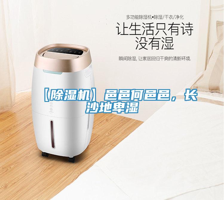 【除濕機】邑邑何邑邑，長沙地卑濕