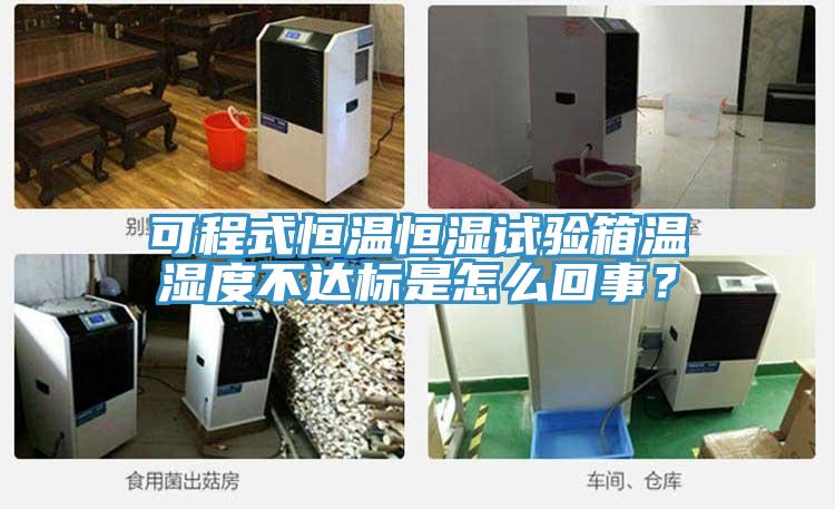 可程式恒溫恒濕試驗箱溫濕度不達標是怎么回事？