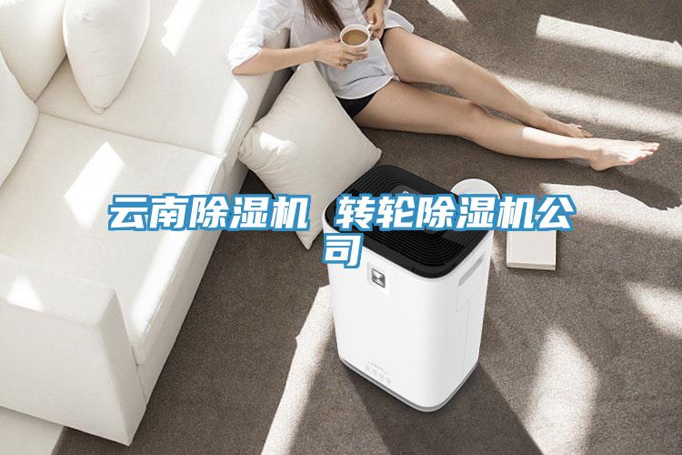 云南除濕機(jī) 轉(zhuǎn)輪除濕機(jī)公司