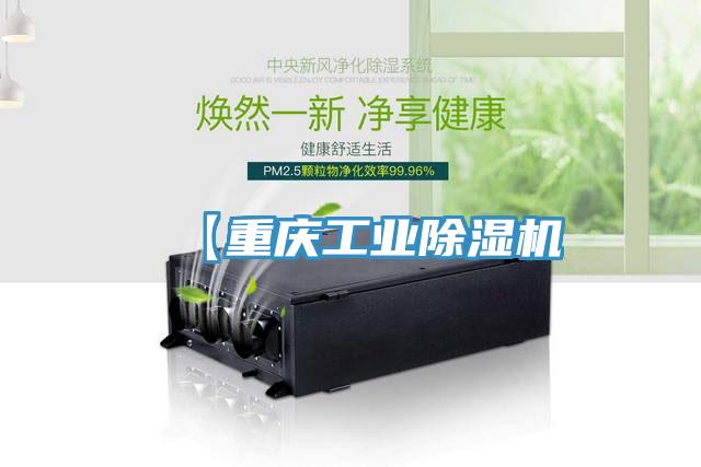 【重慶工業(yè)除濕機