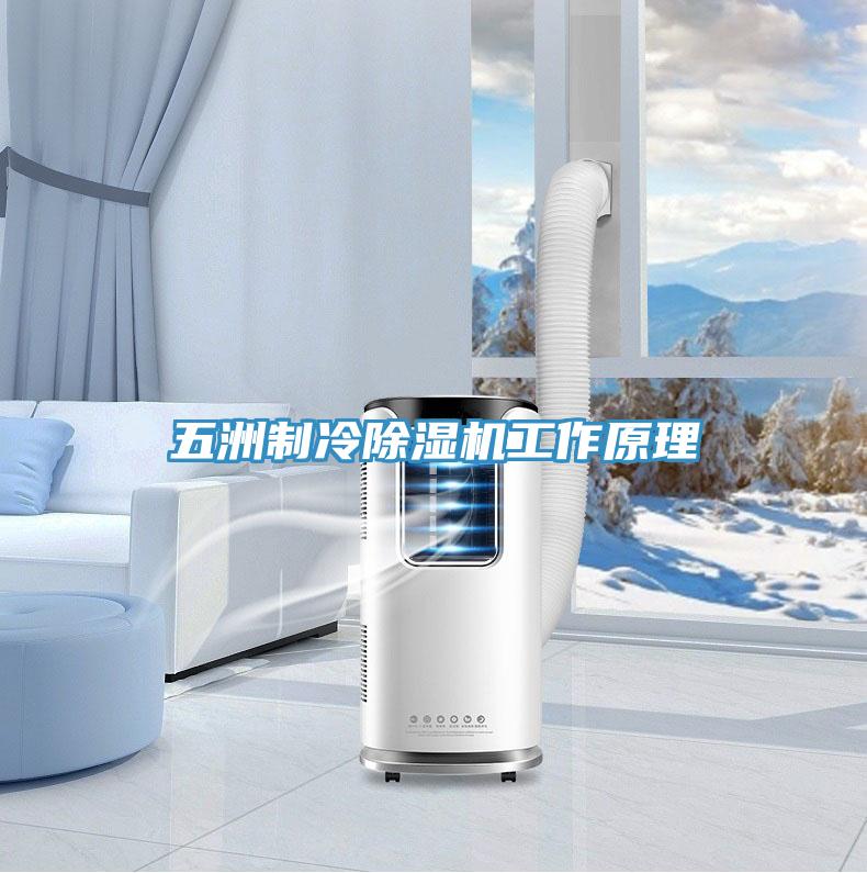 五洲制冷除濕機(jī)工作原理
