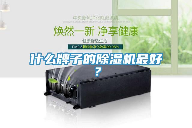 什么牌子的除濕機(jī)最好？