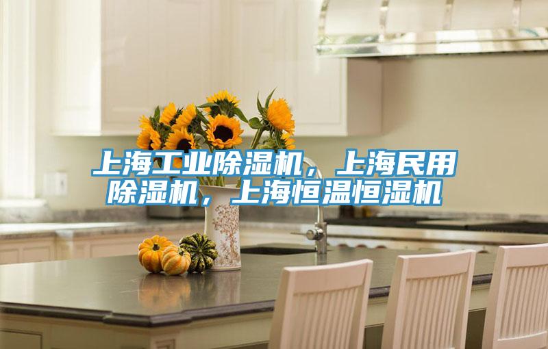 上海工業(yè)除濕機(jī)，上海民用除濕機(jī)，上海恒溫恒濕機(jī)