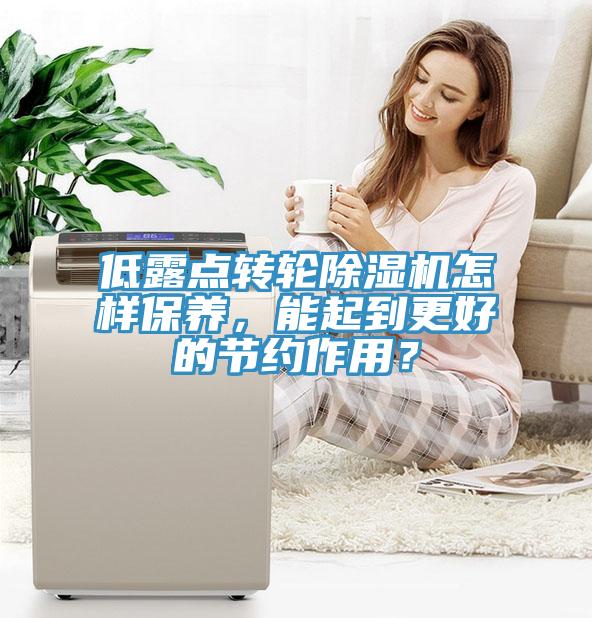低露點(diǎn)轉(zhuǎn)輪除濕機(jī)怎樣保養(yǎng)，能起到更好的節(jié)約作用？