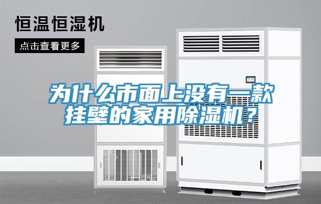 為什么市面上沒有一款掛壁的家用除濕機(jī)？
