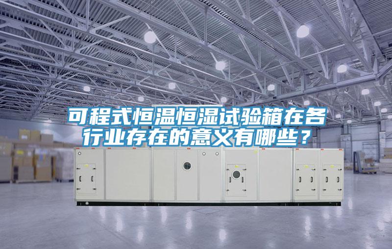 可程式恒溫恒濕試驗箱在各行業(yè)存在的意義有哪些？
