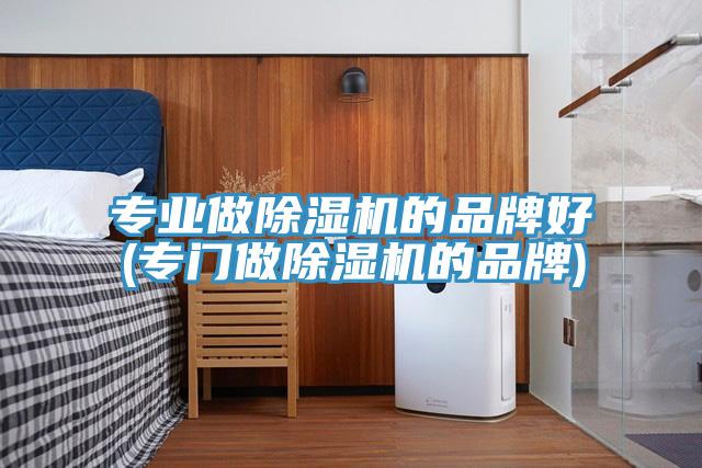 專業(yè)做除濕機(jī)的品牌好(專門做除濕機(jī)的品牌)