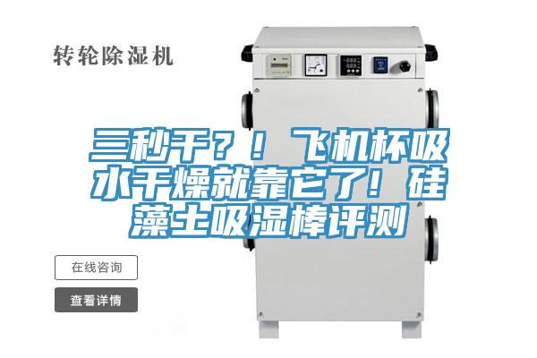三秒干？! 飛機杯吸水干燥就靠它了! 硅藻土吸濕棒評測