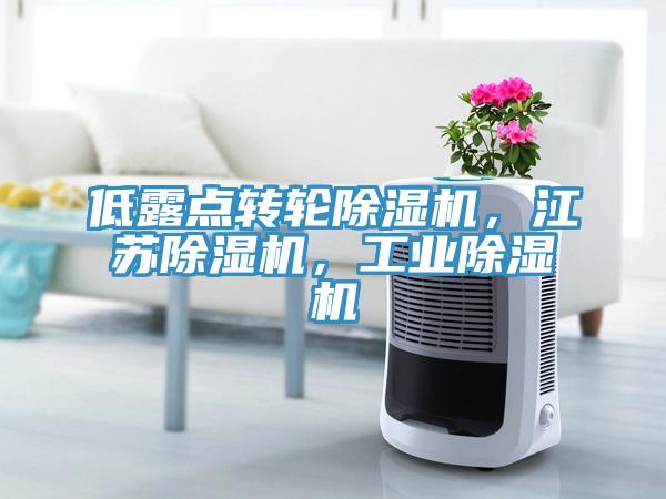 低露點(diǎn)轉(zhuǎn)輪除濕機(jī)，江蘇除濕機(jī)，工業(yè)除濕機(jī)