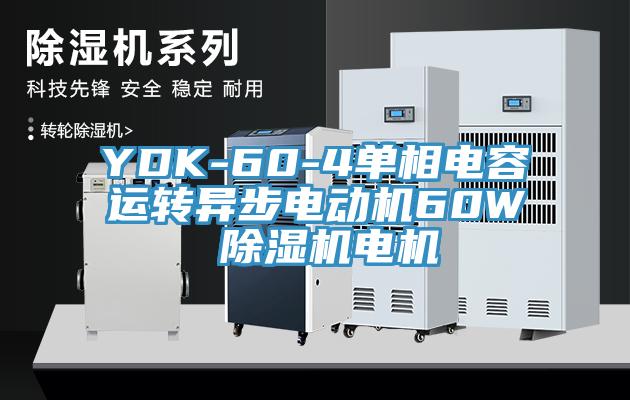YDK-60-4單相電容運轉(zhuǎn)異步電動機(jī)60W 除濕機(jī)電機(jī)