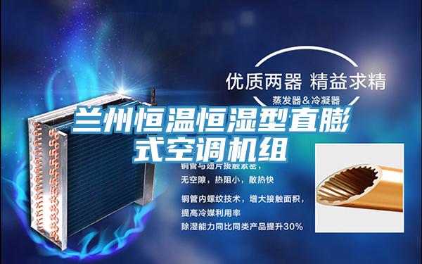 蘭州恒溫恒濕型直膨式空調(diào)機組