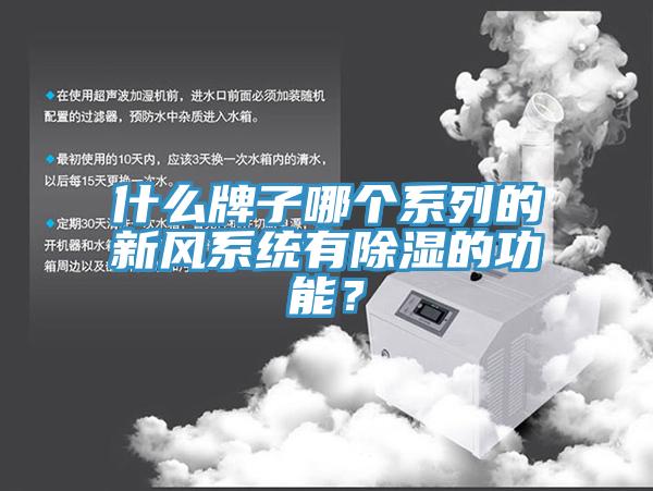 什么牌子哪個(gè)系列的新風(fēng)系統(tǒng)有除濕的功能？