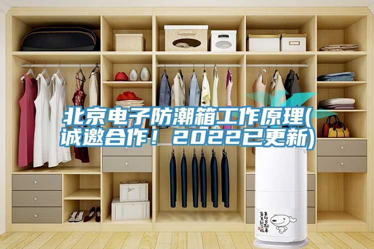 北京電子防潮箱工作原理(誠邀合作！2022已更新)