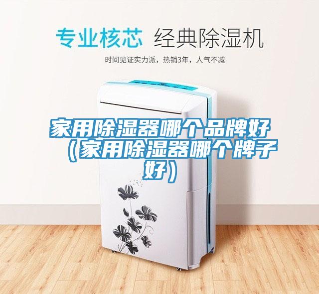 家用除濕器哪個(gè)品牌好（家用除濕器哪個(gè)牌子好）