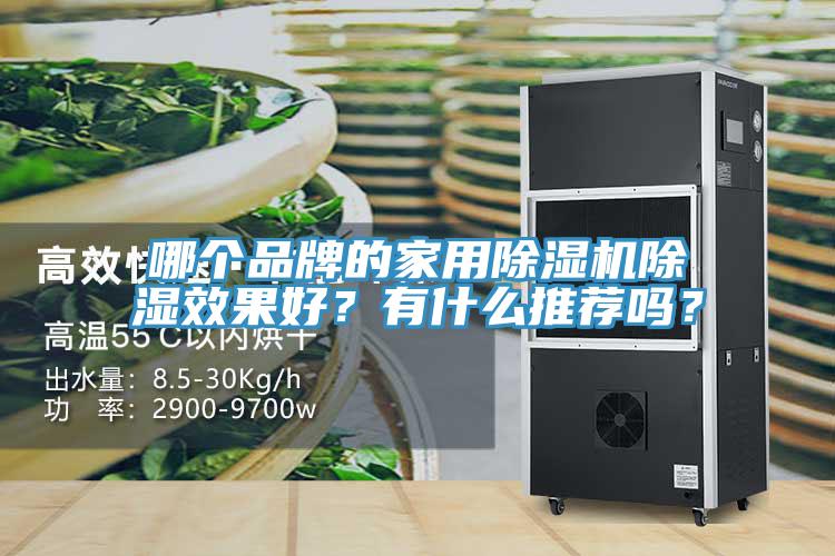 哪個(gè)品牌的家用除濕機(jī)除濕效果好？有什么推薦嗎？