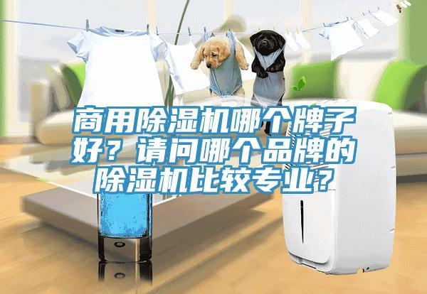 商用除濕機哪個牌子好？請問哪個品牌的除濕機比較專業(yè)？