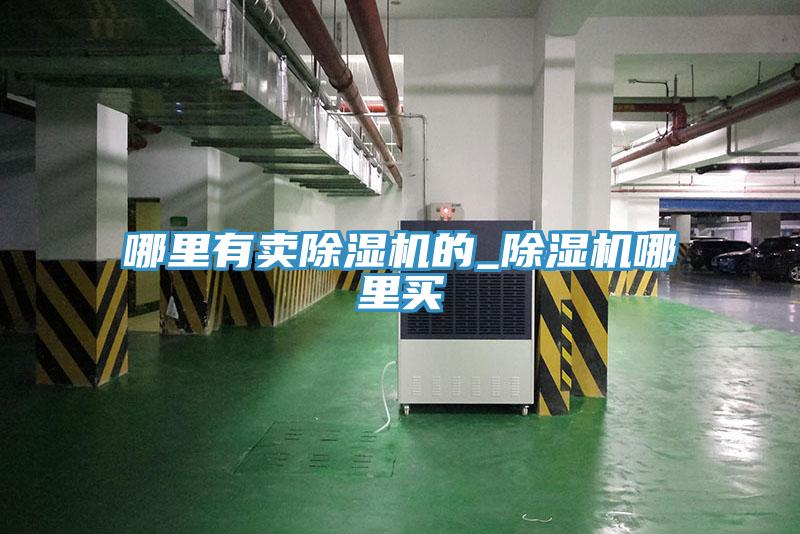 哪里有賣(mài)除濕機(jī)的_除濕機(jī)哪里買(mǎi)