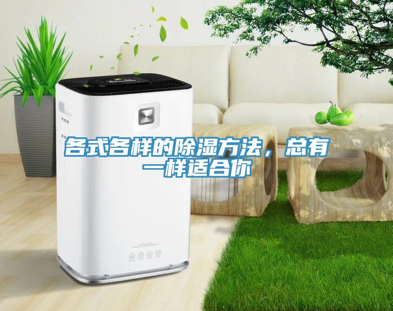各式各樣的除濕方法，總有一樣適合你