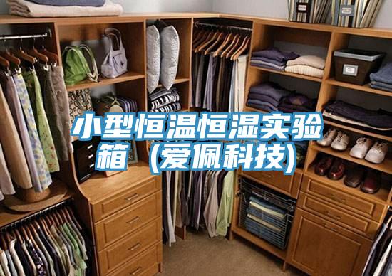 小型恒溫恒濕實(shí)驗(yàn)箱 (愛佩科技)