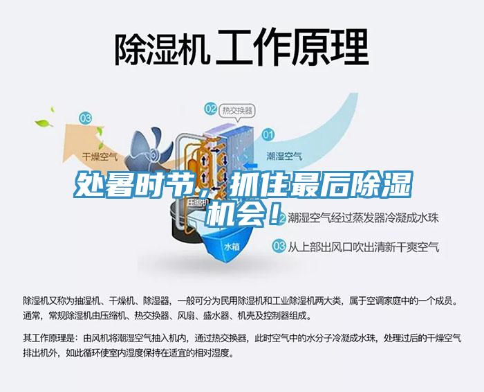 處暑時節(jié)，抓住最后除濕機(jī)會！