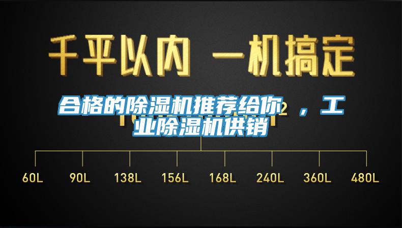 合格的除濕機(jī)推薦給你 ，工業(yè)除濕機(jī)供銷