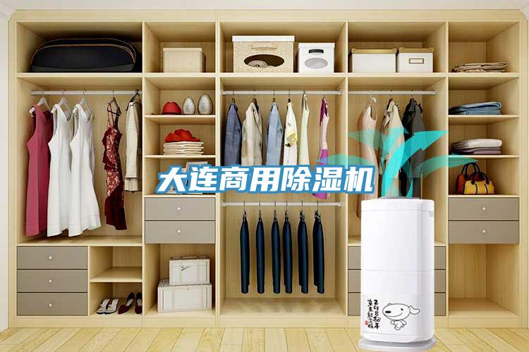 大連商用除濕機