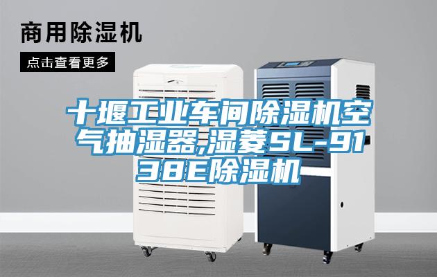 十堰工業(yè)車(chē)間除濕機(jī)空氣抽濕器,濕菱SL-9138E除濕機(jī)