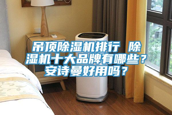 吊頂除濕機排行 除濕機十大品牌有哪些？安詩曼好用嗎？