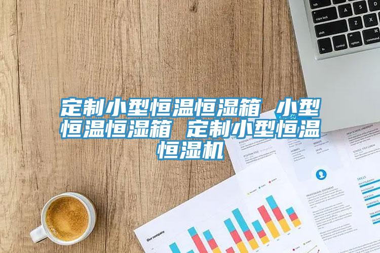 定制小型恒溫恒濕箱 小型恒溫恒濕箱 定制小型恒溫恒濕機(jī)