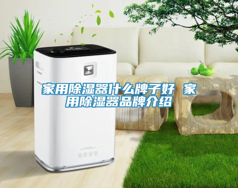 家用除濕器什么牌子好 家用除濕器品牌介紹