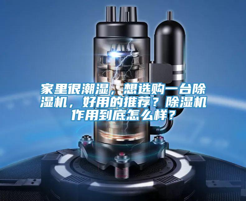 家里很潮濕，想選購一臺除濕機，好用的推薦？除濕機作用到底怎么樣？