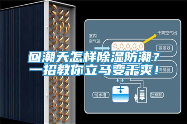 回潮天怎樣除濕防潮？一招教你立馬變干爽！