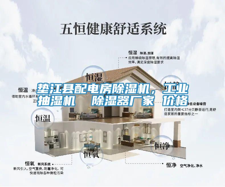 墊江縣配電房除濕機(jī)，工業(yè)抽濕機(jī)  除濕器廠家 價(jià)格