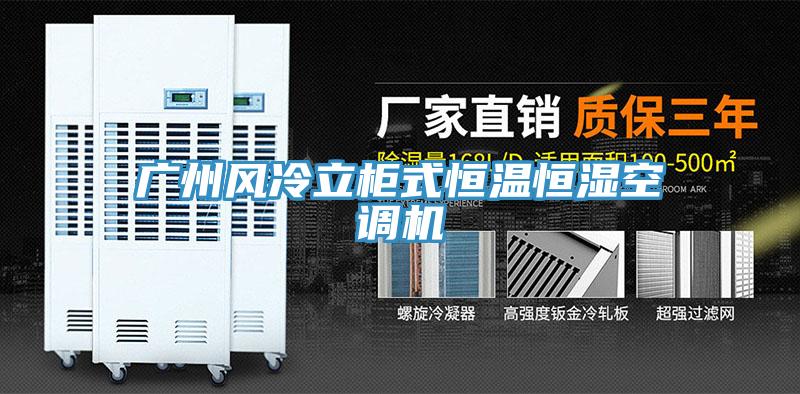 廣州風(fēng)冷立柜式恒溫恒濕空調(diào)機