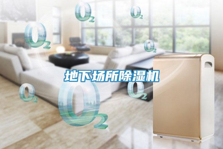 地下場所除濕機