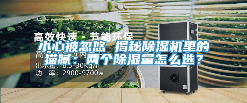 小心被忽悠 揭秘除濕機里的貓膩：兩個除濕量怎么選？