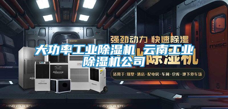 大功率工業(yè)除濕機 云南工業(yè)除濕機公司