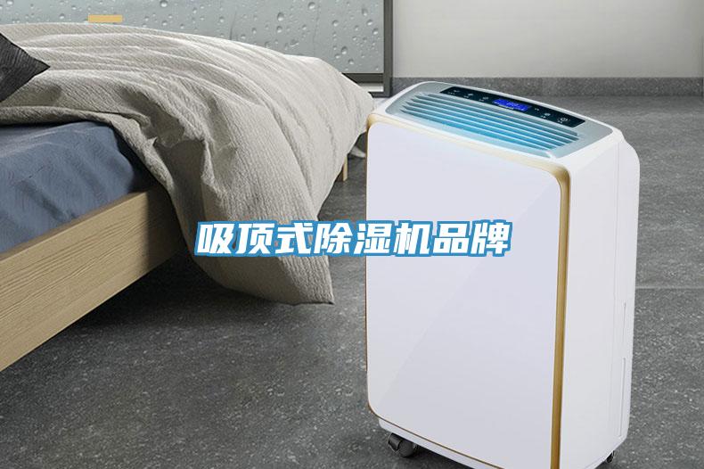 吸頂式除濕機(jī)品牌