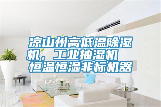 涼山州高低溫除濕機(jī)，工業(yè)抽濕機(jī)  恒溫恒濕非標(biāo)機(jī)器