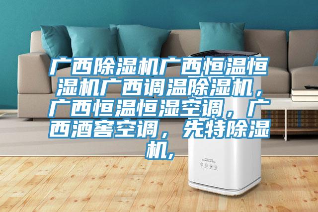 廣西除濕機廣西恒溫恒濕機廣西調(diào)溫除濕機，廣西恒溫恒濕空調(diào)，廣西酒窖空調(diào)，先特除濕機,