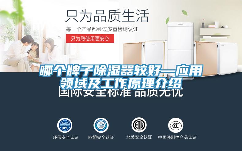 哪個牌子除濕器較好—應(yīng)用領(lǐng)域及工作原理介紹