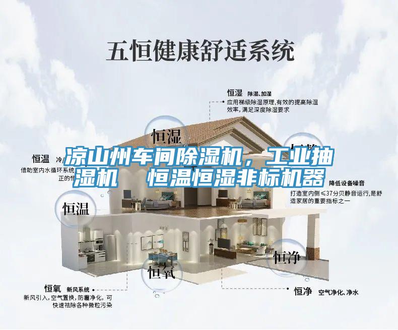 涼山州車間除濕機(jī)，工業(yè)抽濕機(jī)  恒溫恒濕非標(biāo)機(jī)器