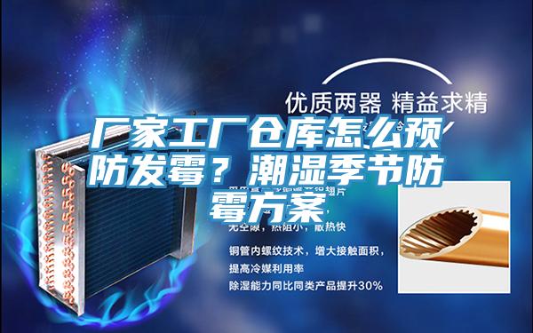 廠家工廠倉庫怎么預(yù)防發(fā)霉？潮濕季節(jié)防霉方案