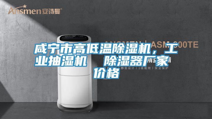 咸寧市高低溫除濕機，工業(yè)抽濕機  除濕器廠家 價格