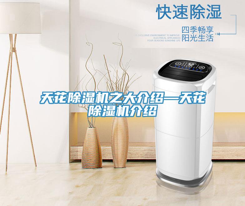 天花除濕機(jī)之大介紹—天花除濕機(jī)介紹