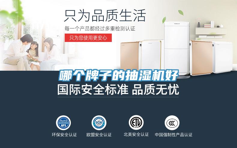 哪個(gè)牌子的抽濕機(jī)好