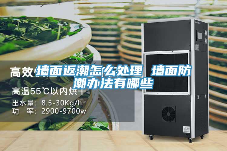墻面返潮怎么處理 墻面防潮辦法有哪些