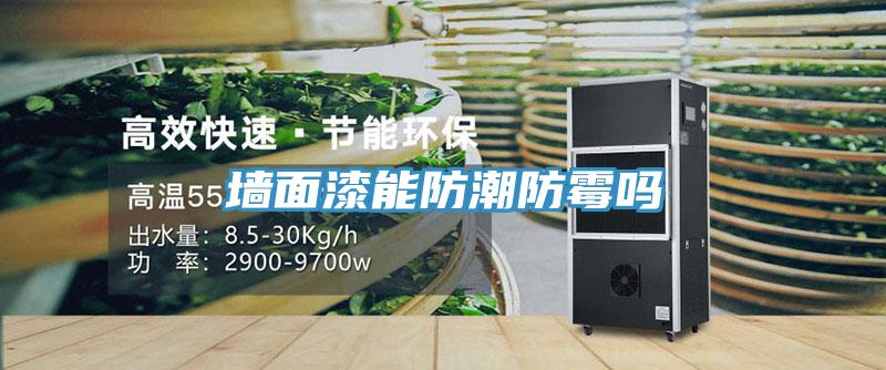 墻面漆能防潮防霉嗎