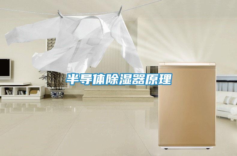 半導(dǎo)體除濕器原理